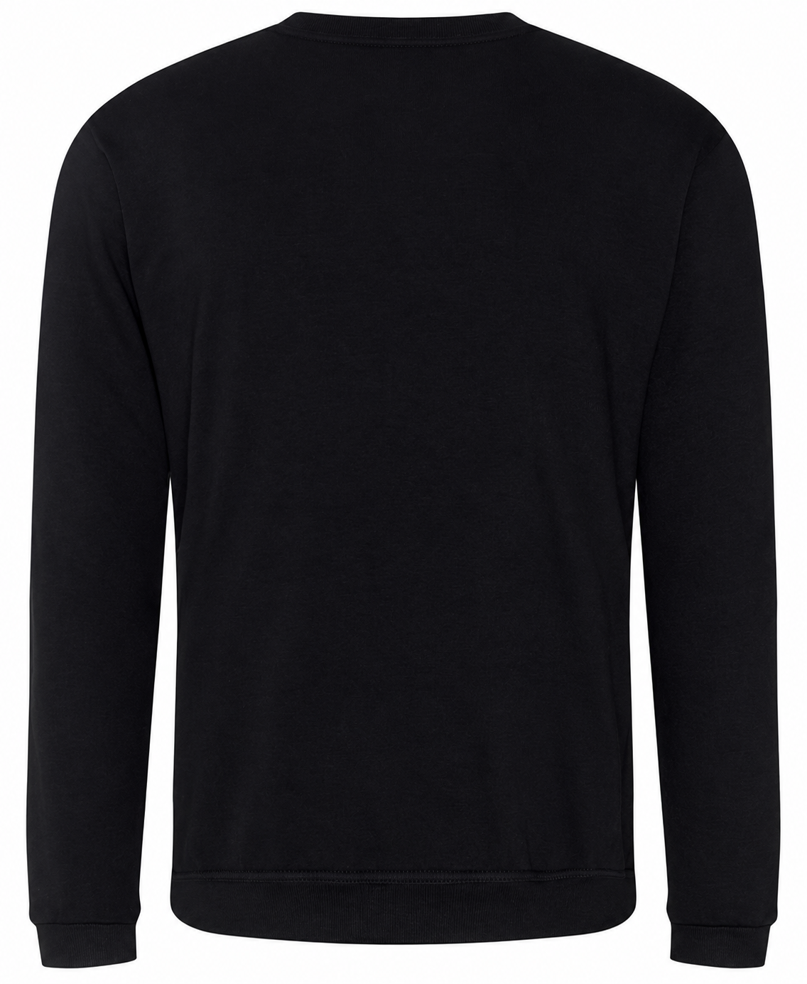Pro sweatshirt — achterkant